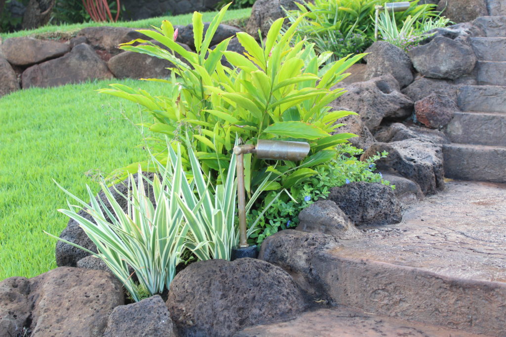 Landscape Design Hawaii